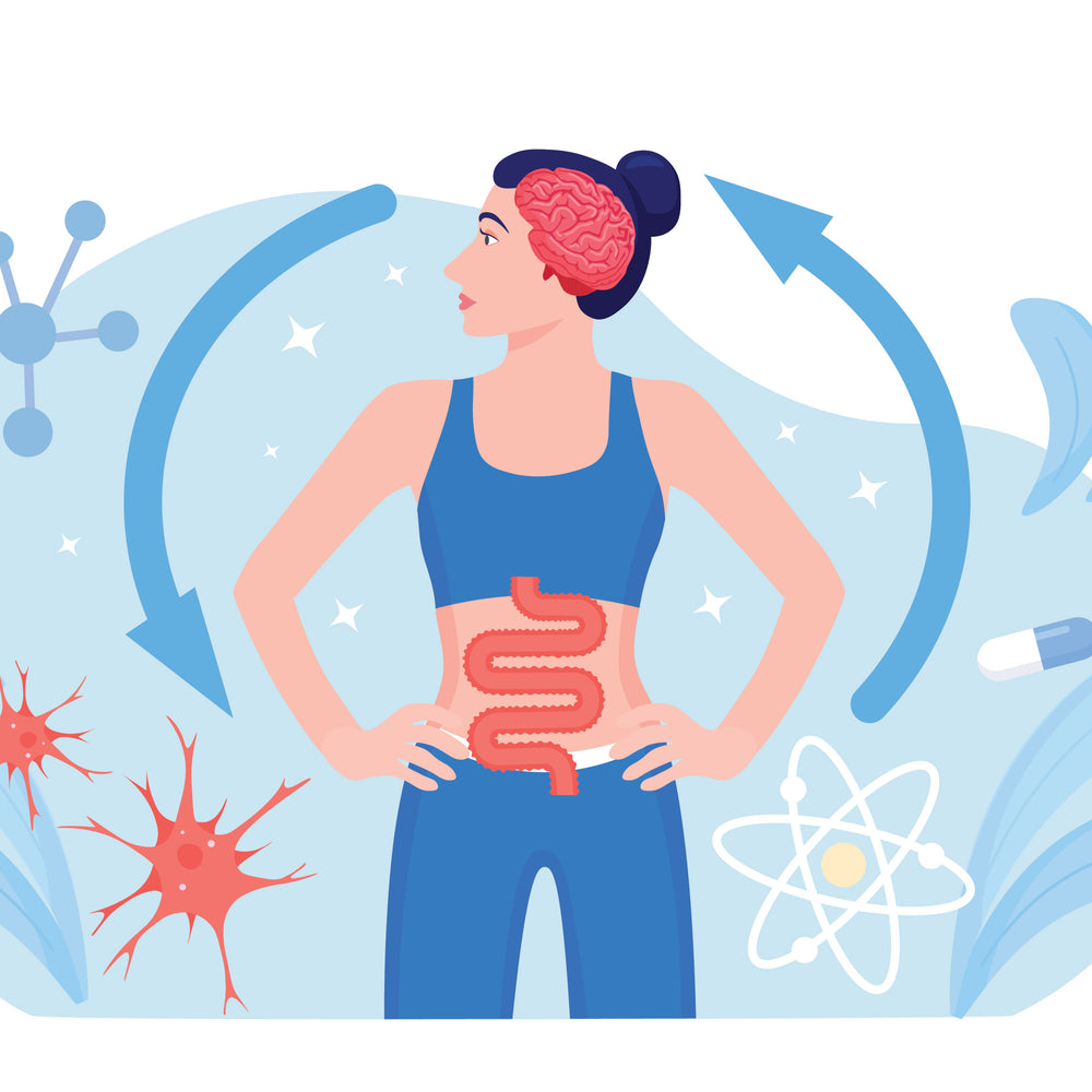 Sea Moss and Gut Health: The Ultimate Partnership for a Healthier You